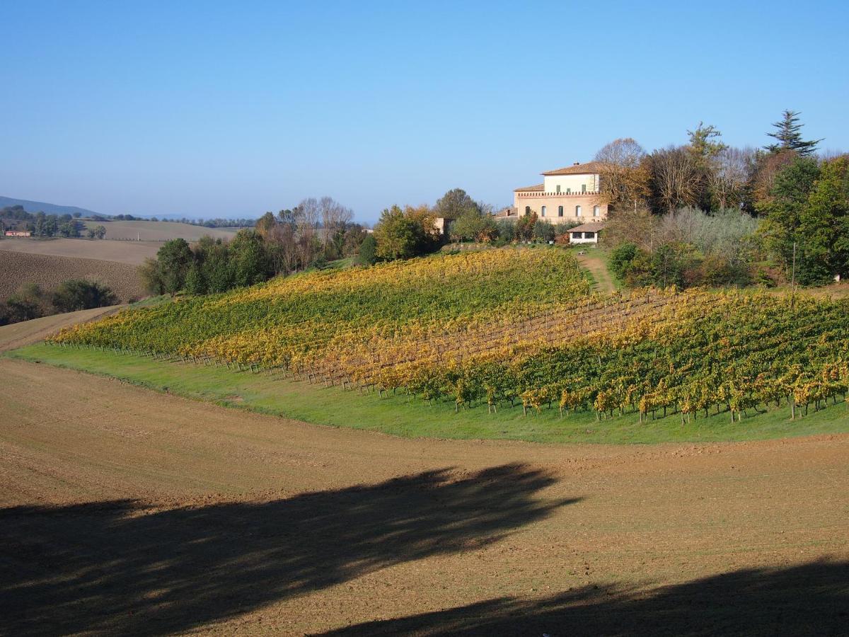 Agriturismo Poggiarellino - Montalcino Bagian luar foto