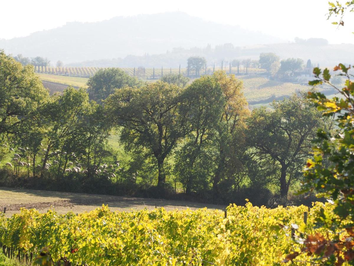 Agriturismo Poggiarellino - Montalcino Bagian luar foto