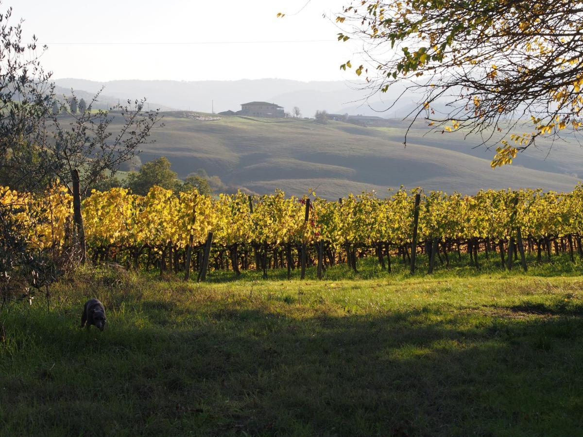 Agriturismo Poggiarellino - Montalcino Bagian luar foto
