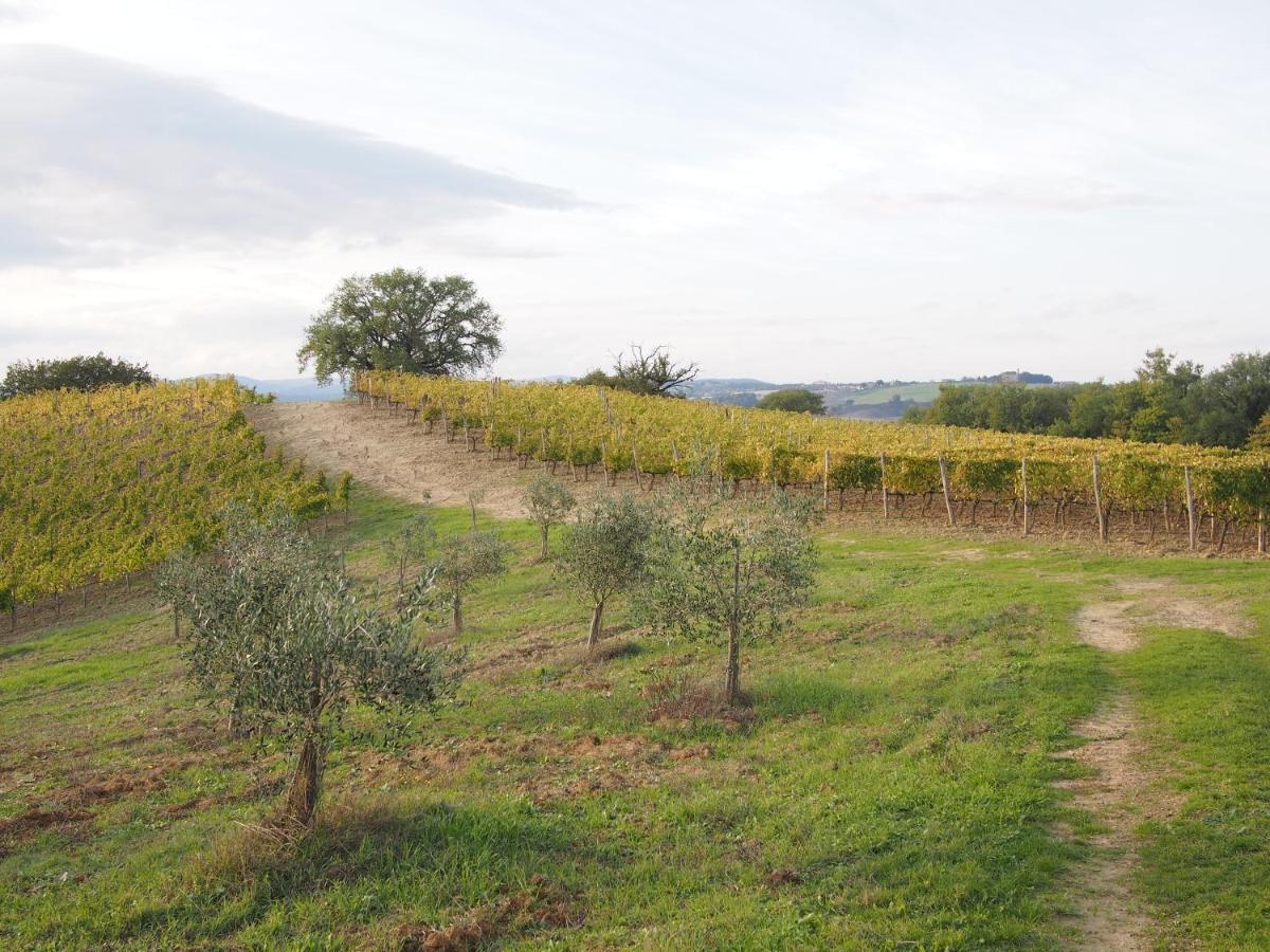 Agriturismo Poggiarellino - Montalcino Bagian luar foto