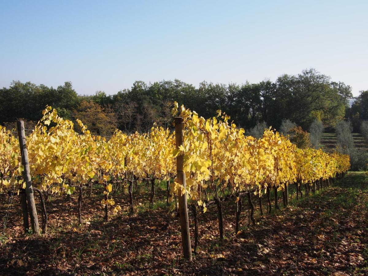 Agriturismo Poggiarellino - Montalcino Bagian luar foto